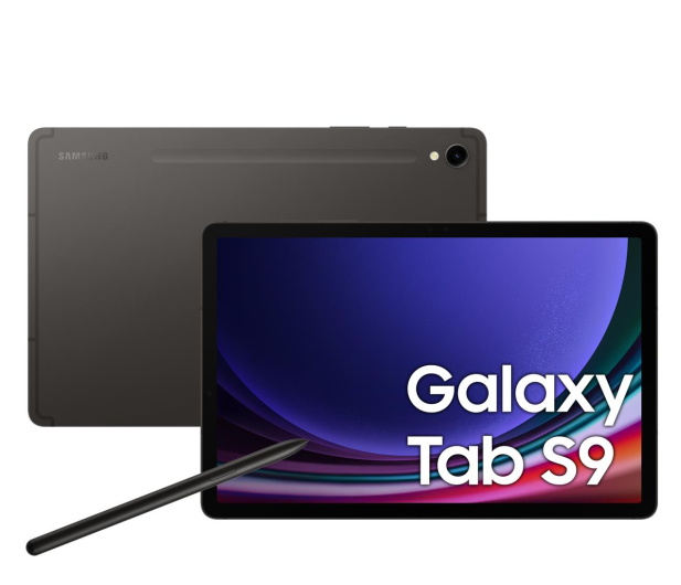 SAMSUNG Galaxy TAB S9 11" 8/128GB WiFi szary (SM-X710NZAAEUE) - 1158878 - zdjęcie